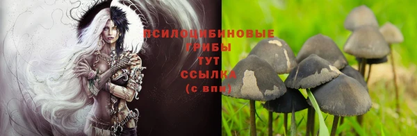 Альфа ПВП Алексин
