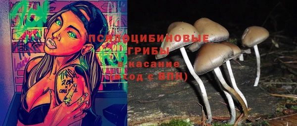 тгк Алексеевка