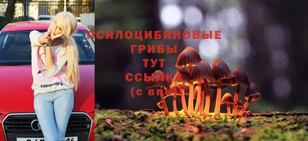 Альфа ПВП Алексин