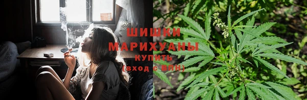 каннабис Алзамай