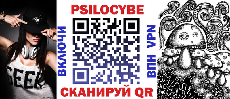 OMG ссылки  Дмитриев  Псилоцибиновые грибы GOLDEN TEACHER  цены наркотик 